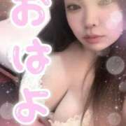 ヒメ日記 2025/03/31 12:21 投稿 おとは 奥様特急長岡店