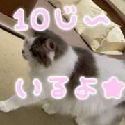 ヒメ日記 2024/12/25 08:54 投稿 ひなた 人妻倶楽部 内緒の関係 川越店