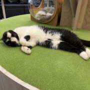 ヒメ日記 2025/01/30 10:24 投稿 ひなた 人妻倶楽部 内緒の関係 川越店