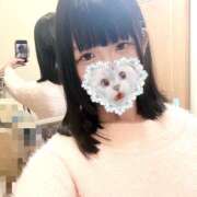 ヒメ日記 2025/01/22 20:03 投稿 ルウア 姫路ラビット