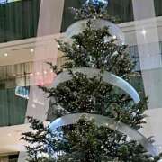 ヒメ日記 2024/12/23 18:22 投稿 青山りん ワイフコレクション