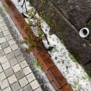 ヒメ日記 2025/03/20 17:07 投稿 青山りん ワイフコレクション