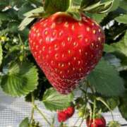 ヒメ日記 2026/01/20 22:03 投稿 青山りん ワイフコレクション