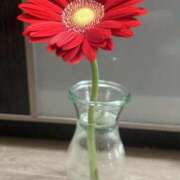 ヒメ日記 2026/03/28 17:47 投稿 青山りん ワイフコレクション