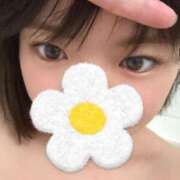 ヒメ日記 2025/04/20 12:48 投稿 なぎ ワンダフル