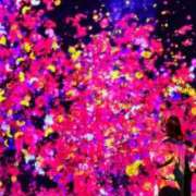 ヒメ日記 2025/04/29 23:58 投稿 なぎ ワンダフル