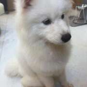 ヒメ日記 2025/09/10 10:38 投稿 なぎ ワンダフル