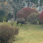 ヒメ日記 2025/11/19 20:58 投稿 なぎ ワンダフル