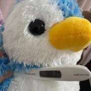 ヒメ日記 2026/01/04 08:18 投稿 なぎ ワンダフル