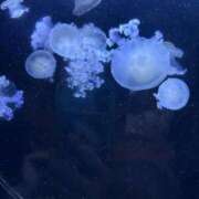 ヒメ日記 2026/02/15 14:18 投稿 なぎ ワンダフル