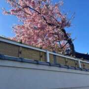 ヒメ日記 2026/02/17 16:48 投稿 なぎ ワンダフル