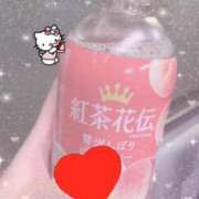 ヒメ日記 2025/04/08 07:38 投稿 ゆず 宮城大崎古川ちゃんこ