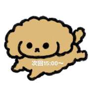 ヒメ日記 2025/04/15 13:28 投稿 ゆず 宮城大崎古川ちゃんこ