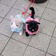 ヒメ日記 2025/04/26 12:58 投稿 ゆず 宮城大崎古川ちゃんこ