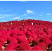 星奈(ほしな) ほしなのモーニングニッポン 人妻城 横浜本店