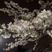 ヒメ日記 2025/03/30 22:22 投稿 うた 完熟ばなな千葉店