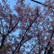 うた お礼とつぶやき 完熟ばなな千葉店