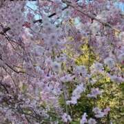 うた ゆるりと... 完熟ばなな千葉店