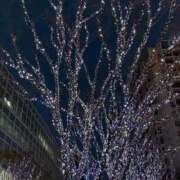 ヒメ日記 2024/12/30 18:59 投稿 ユラ ルパン