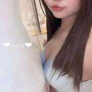 ヒメ日記 2025/02/08 11:45 投稿 ユラ ルパン