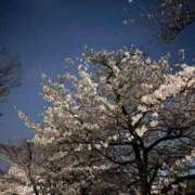 ヒメ日記 2025/04/03 19:29 投稿 ユラ ルパン