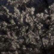 ヒメ日記 2025/04/09 20:15 投稿 ユラ ルパン