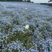 ヒメ日記 2025/04/30 18:01 投稿 ユラ ルパン