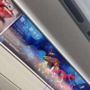 ヒメ日記 2025/05/26 17:49 投稿 ユラ ルパン