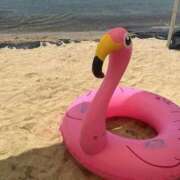 ヒメ日記 2025/06/20 12:55 投稿 ユラ ルパン