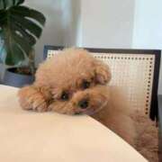 ヒメ日記 2025/07/27 17:30 投稿 ユラ ルパン