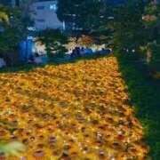 ヒメ日記 2025/08/31 21:24 投稿 ユラ ルパン