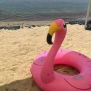 ヒメ日記 2025/09/24 02:08 投稿 ユラ ルパン