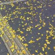 ヒメ日記 2025/12/06 20:02 投稿 ユラ ルパン