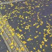 ヒメ日記 2026/01/12 20:01 投稿 ユラ ルパン