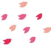 ヒメ日記 2026/04/23 13:20 投稿 ほのか 手コキ＆オナクラ 大阪はまちゃん 梅田店