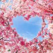 ヒメ日記 2025/03/13 06:57 投稿 さや☆ CLUB PIAA