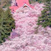 ヒメ日記 2025/04/02 07:13 投稿 さや☆ CLUB PIAA