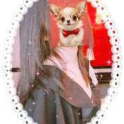 ヒメ日記 2025/09/22 06:30 投稿 さや☆ CLUB PIAA