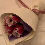 ヒメ日記 2025/02/17 06:50 投稿 美波 Arrest（アレスト）