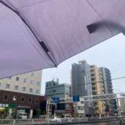 ヒメ日記 2025/03/31 06:30 投稿 美波 Arrest（アレスト）