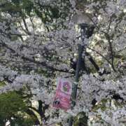 ヒメ日記 2025/04/05 16:48 投稿 美波 Arrest（アレスト）