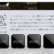 ヒメ日記 2025/05/23 15:08 投稿 美波 Arrest（アレスト）