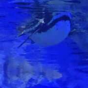 ヒメ日記 2025/05/28 14:15 投稿 美波 Arrest（アレスト）