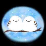 ヒメ日記 2025/06/28 10:46 投稿 美波 Arrest（アレスト）