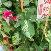 ヒメ日記 2025/07/07 13:54 投稿 美波 Arrest（アレスト）