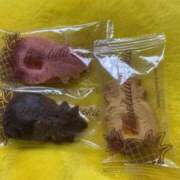 ヒメ日記 2026/01/22 06:47 投稿 美波 Arrest（アレスト）