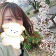 ヒメ日記 2025/04/05 12:38 投稿 奈来（なこ） 女々艶 厚木店