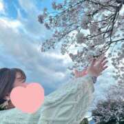 ヒメ日記 2025/04/08 08:00 投稿 奈来（なこ） 女々艶 厚木店