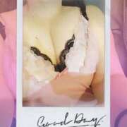 ヒメ日記 2024/12/11 12:21 投稿 ゆかり MOTHER(旧ママとおねえさん)