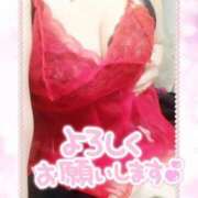 ヒメ日記 2025/03/31 10:51 投稿 ゆかり MOTHER(旧ママとおねえさん)